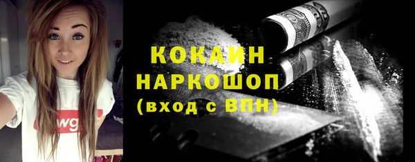 ешки Алексин