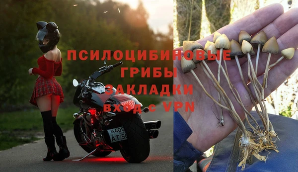 ешки Алексин