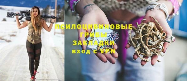 ешки Алексин