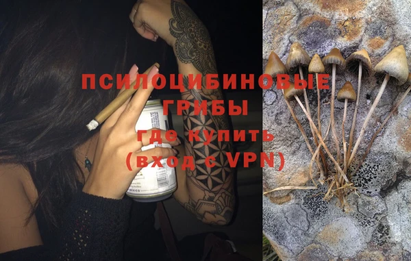MDMA Premium VHQ Алзамай