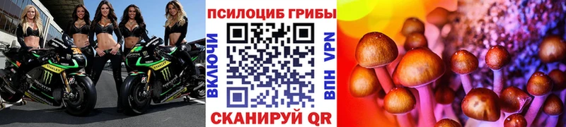 цена наркотик  Обнинск  Псилоцибиновые грибы Psilocybine cubensis 