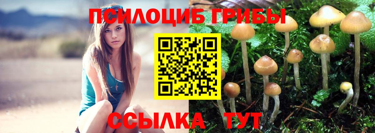 Псилоцибиновые грибы мицелий  Вход с VPN  Обнинск 